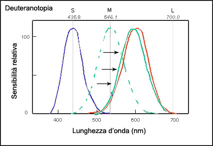 lunghezza d'onda deuteranopia