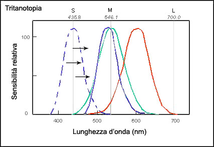 lunghezza d'onda tritanopia